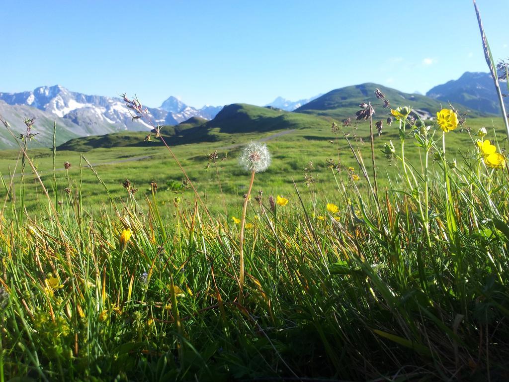 Affittacamere Berggasthaus Tannalp