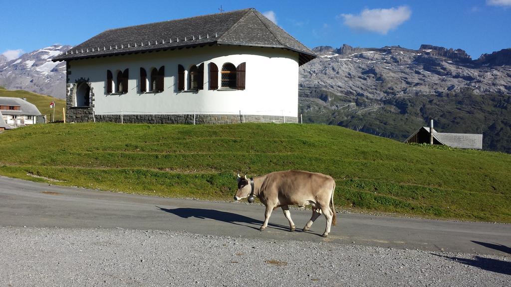 Berggasthaus Tannalp